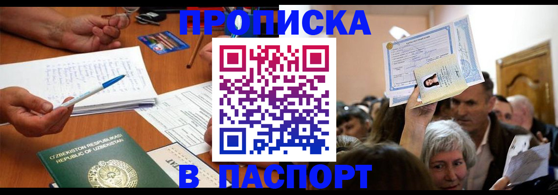 где прописаться в Коле