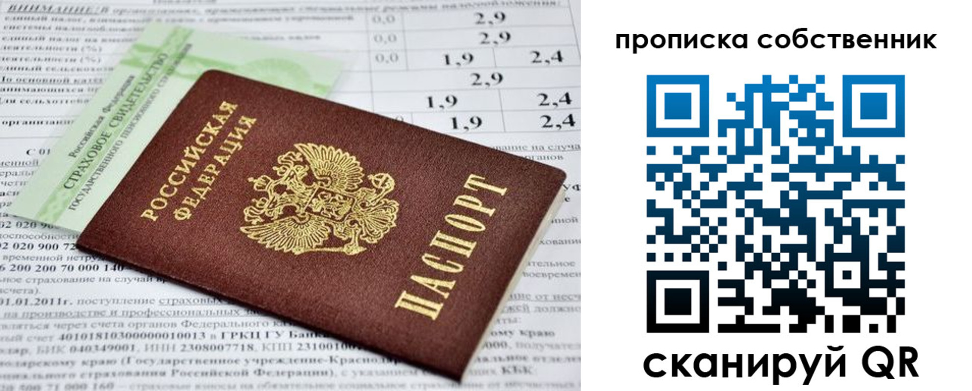 прописка 2025 в Коле